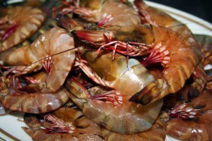 Prawns