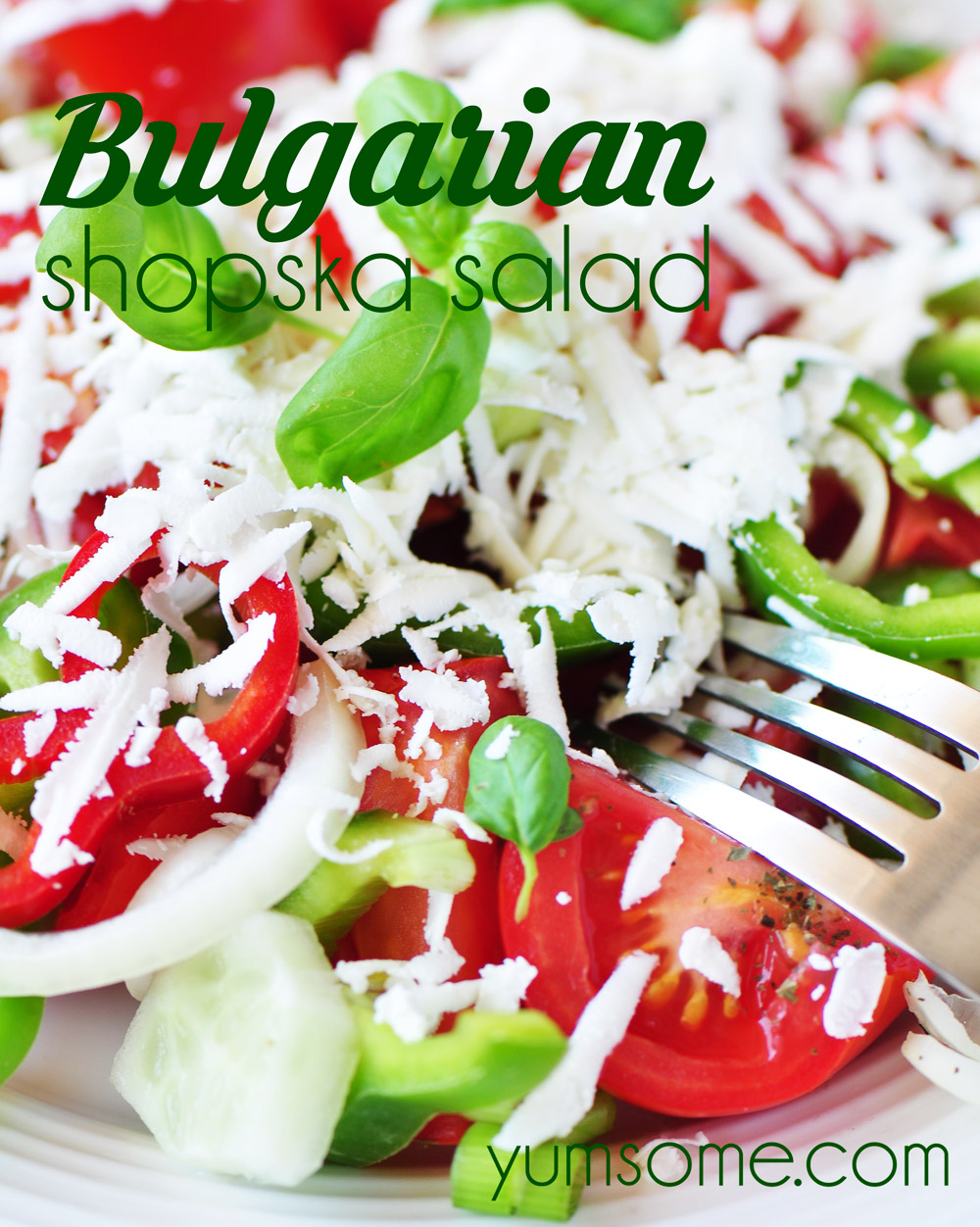 Vegan Shopska Salata Shoppa Salad vegan-shopska-salata-shoppa-salad
