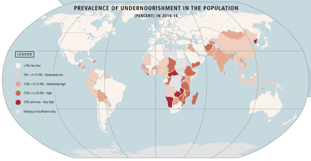 fao undernourishment infographic