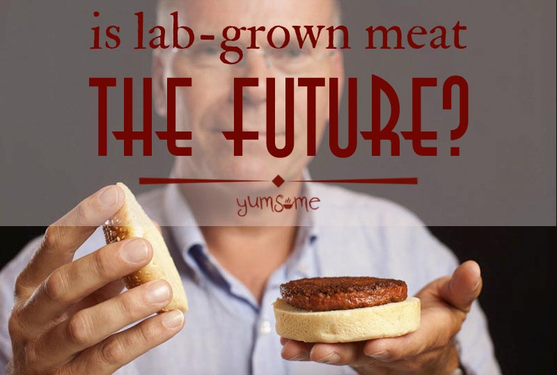 Is LabGrown Meat The Future?