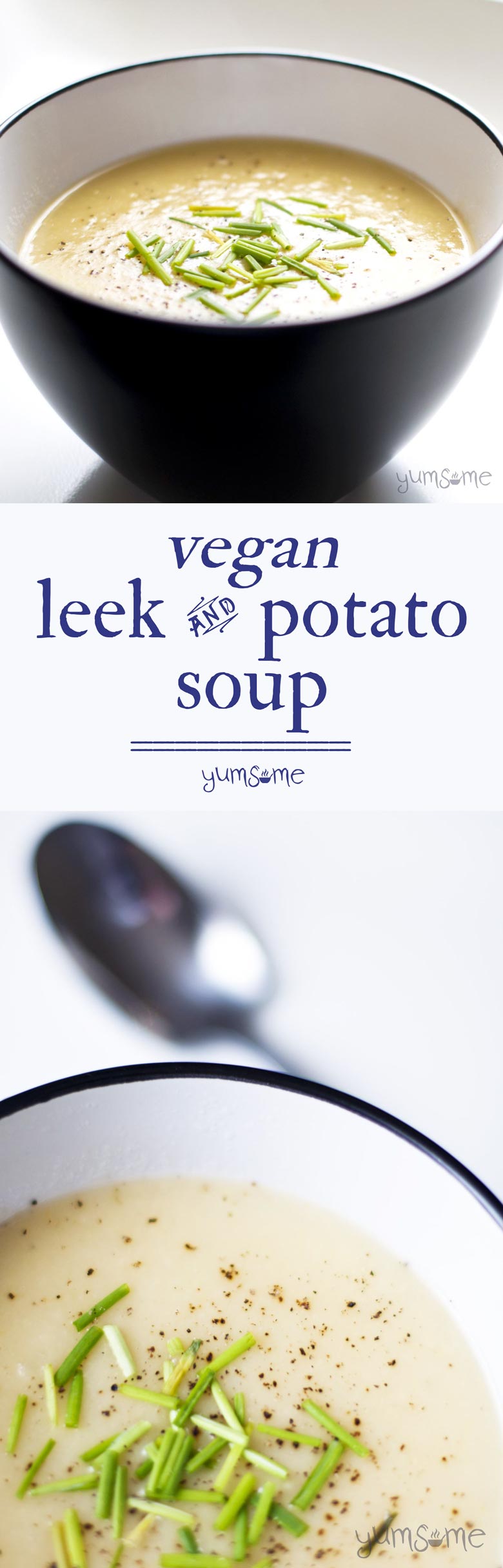 Leek and Potato Soup