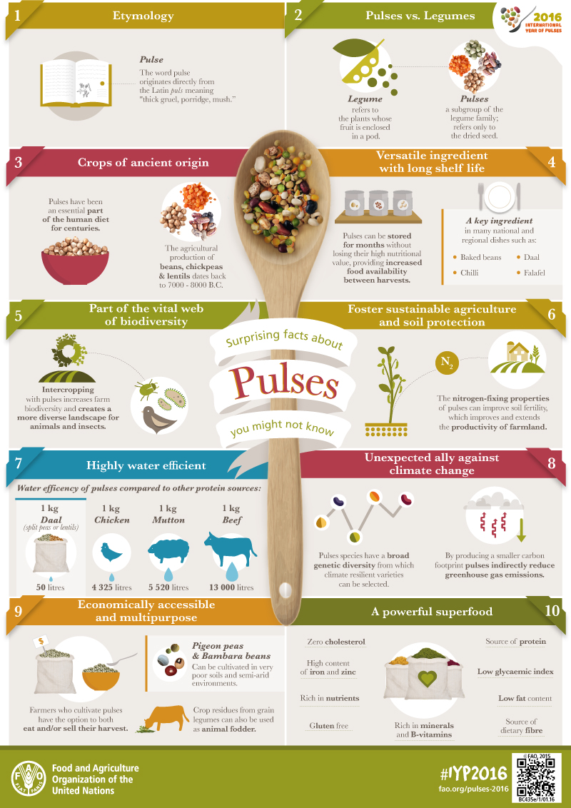 IYP-Pulses-Facts-infographic