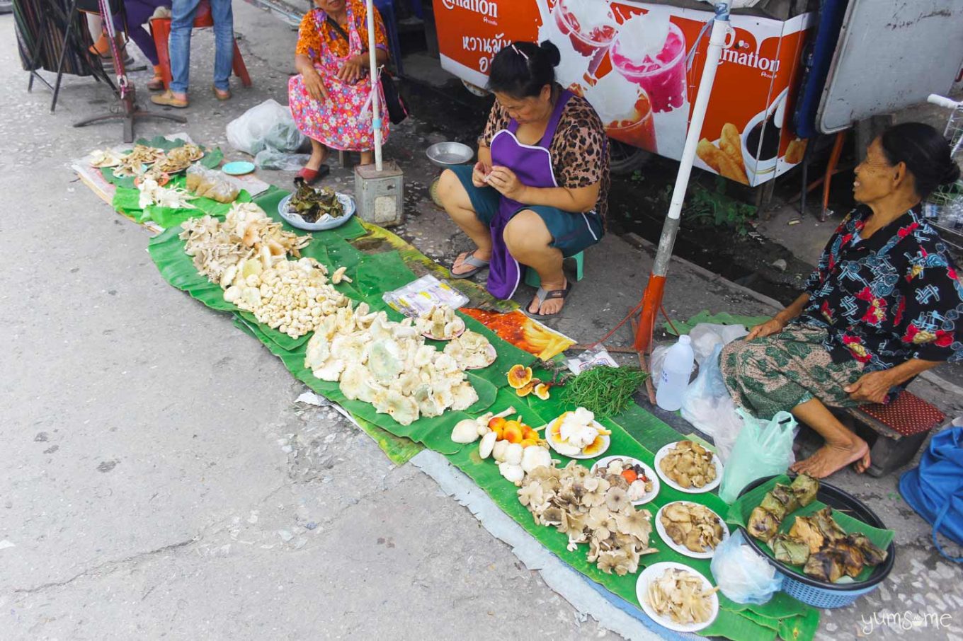 Freshly-picked mushrooms on sale at for sale at Kad Ton Payom, Chiang Mai. | yumsome.com
