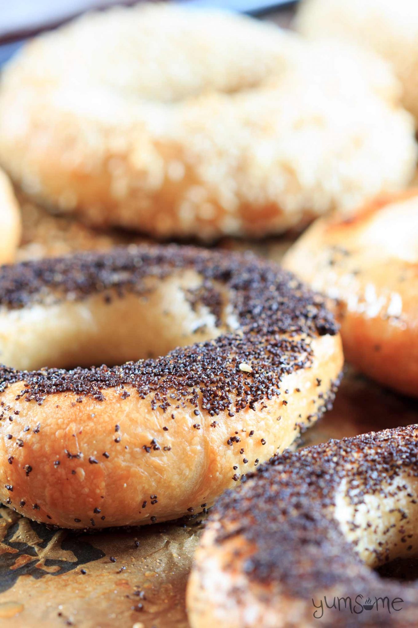 Who doesn't love a good bagel? I know I do. My home-made bagels are soft and slightly chewy, and very traditional. | yumsome.com