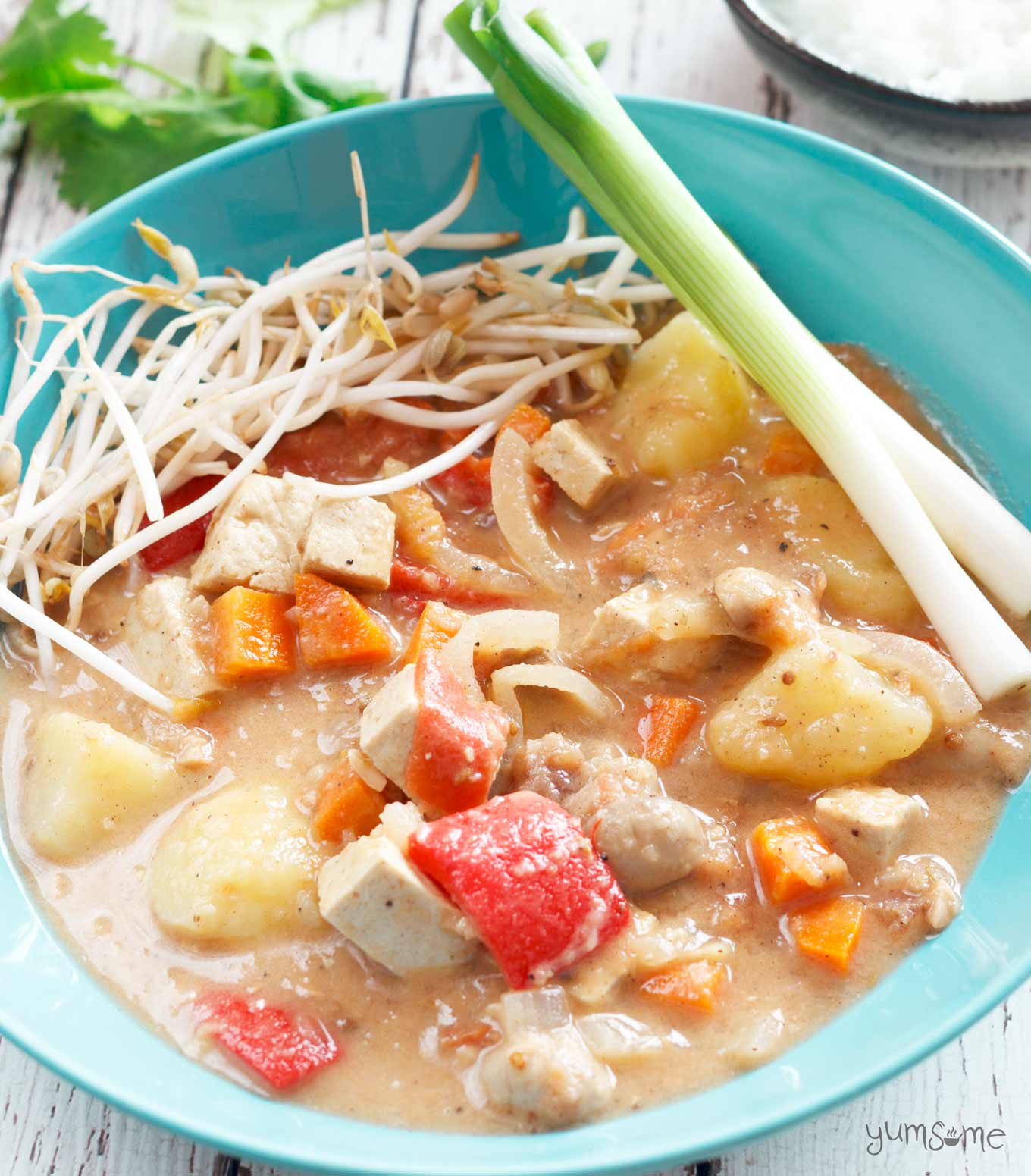 extreme close-up of vegan Thai massaman curry | yumsome.com