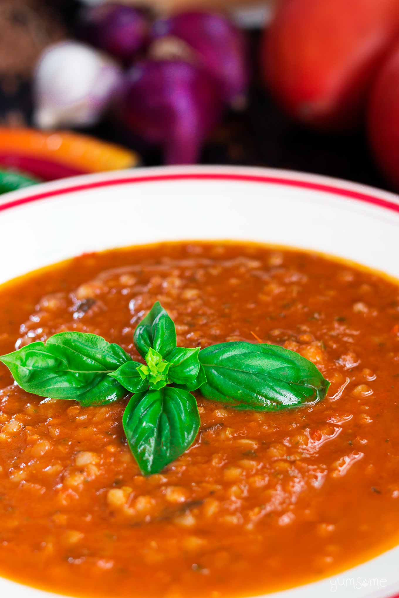 closeup of a bowl of spicy tomato, basil, and buckwheat soup | yumsome.com