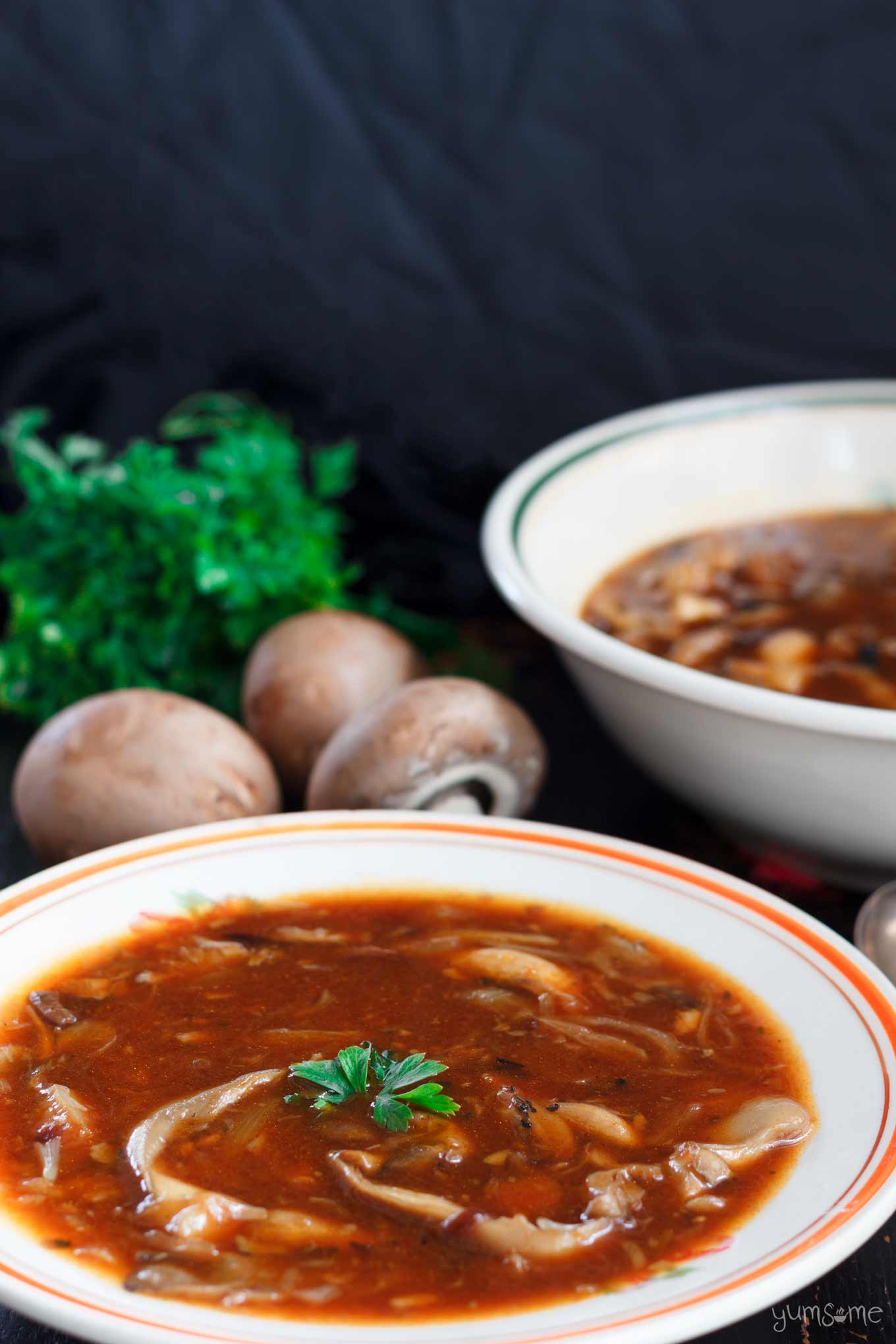two bowls of hearty vegan mushroom soup with herbs and mushrooms in the background | yumsome.com