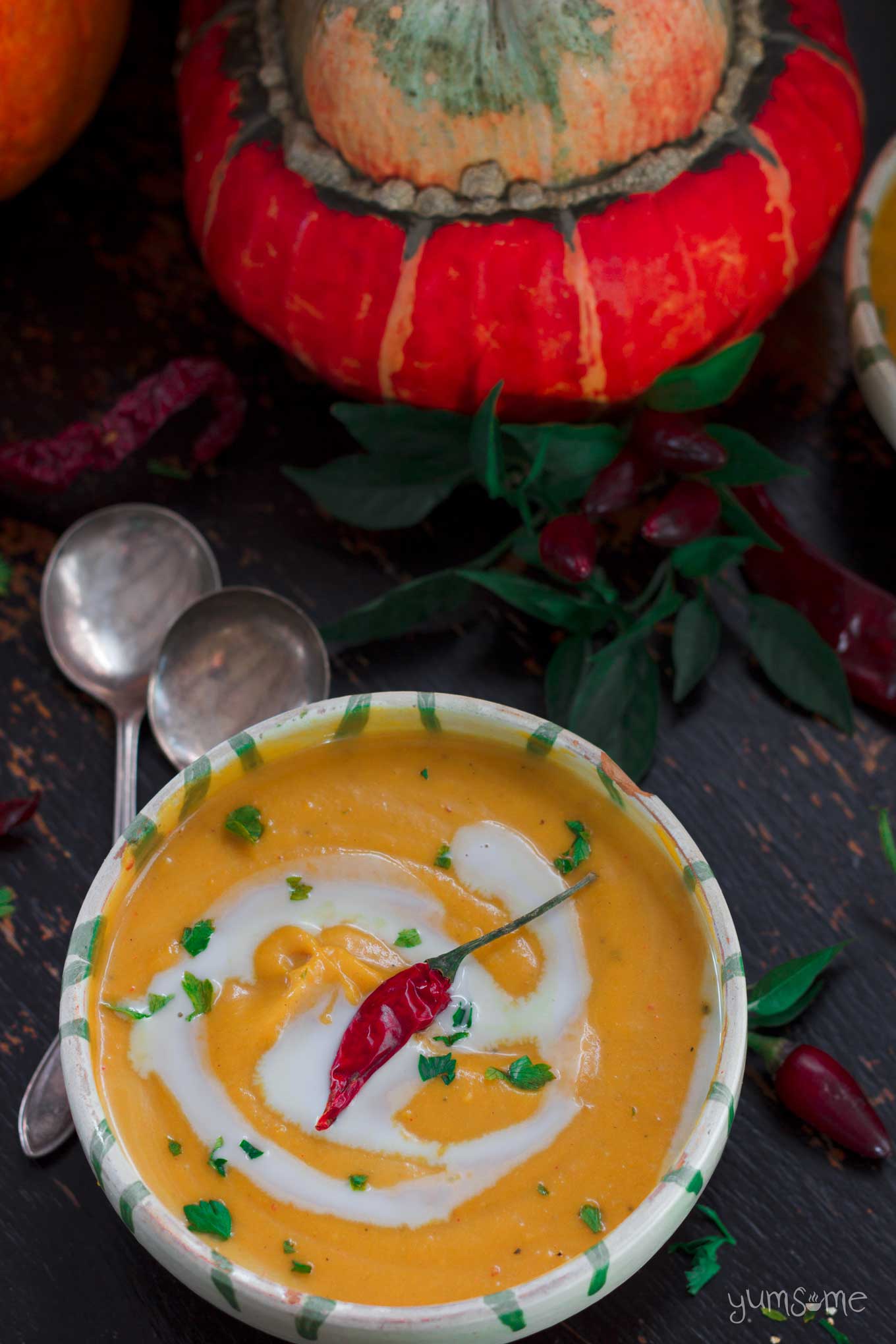 overhead image of a bowl of Curried Coconut Butternut Squash Soup | yumsome.com
