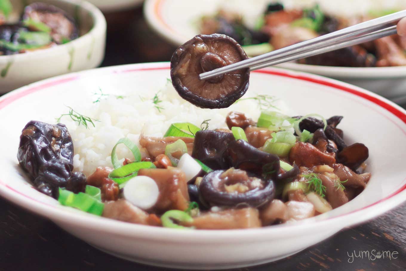 detail of several bowls of asian-style mushrooms with ginger | yumsome.com