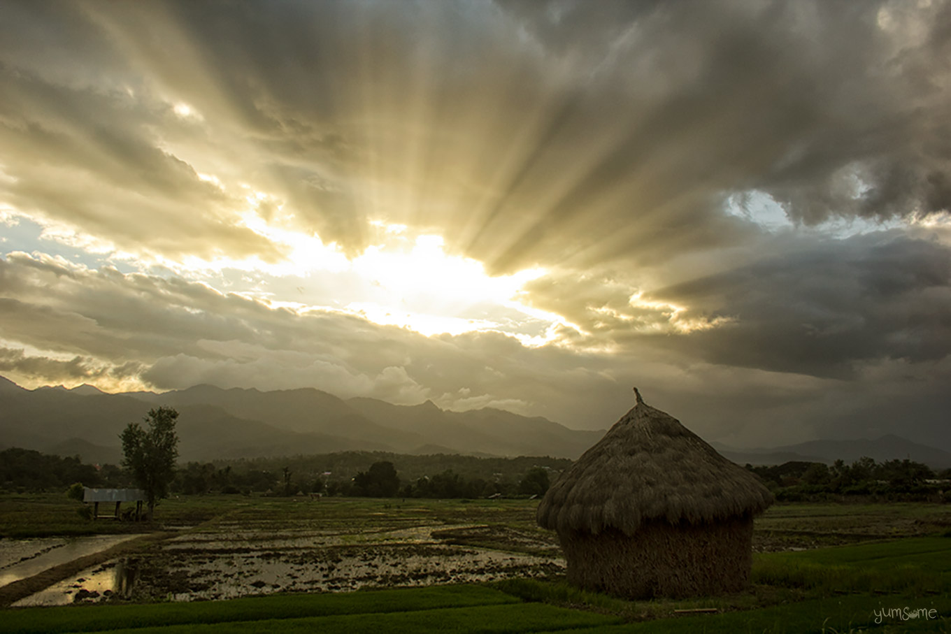 Rays of sunlight over a wet rice field and a haystack.