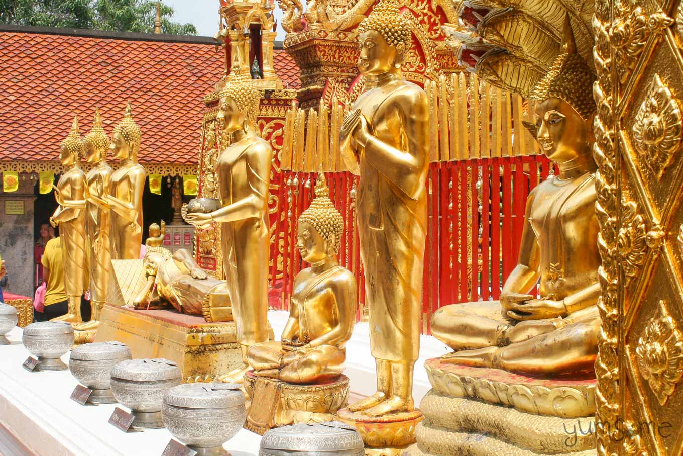 A row of golden Buddhas depicting various stages of Buddha's enlightenment.