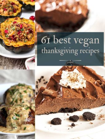 61 best vegan thanksgiving recipes collage.
