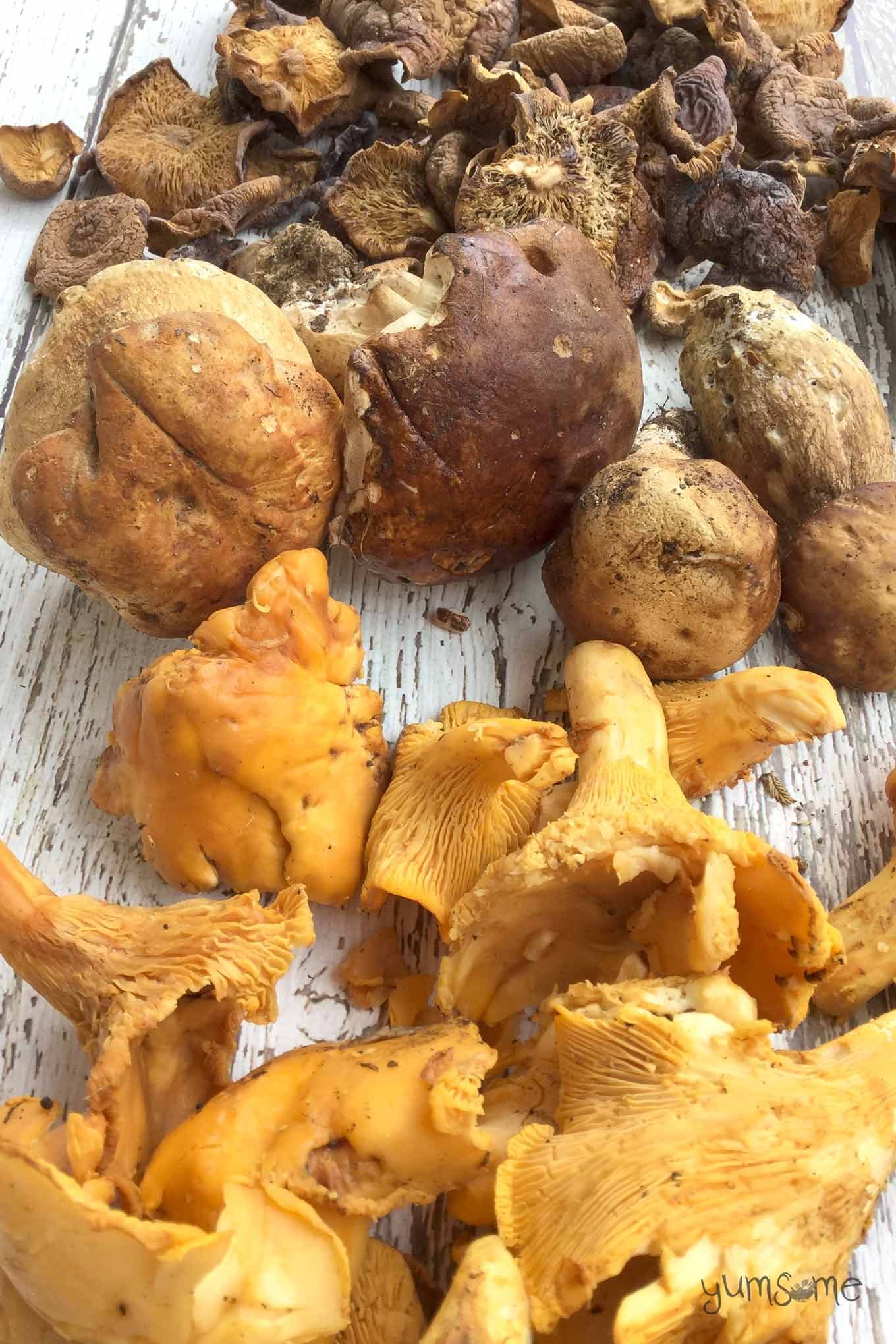 Lots of chanterelle and porcini mushrooms on a white table.